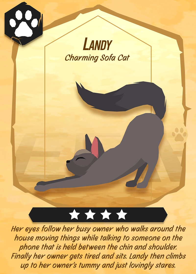 B Cat Landy