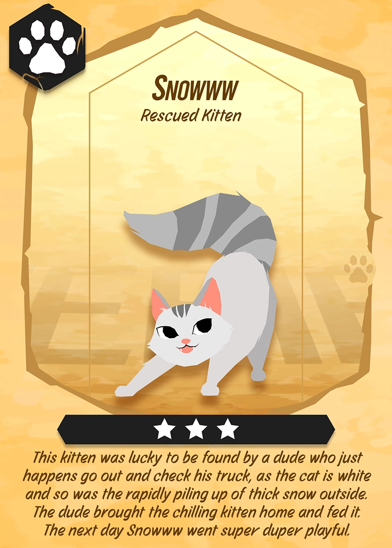C Cat Snowww