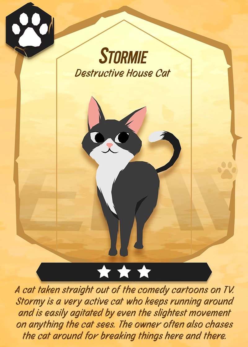 C Cat Stormie